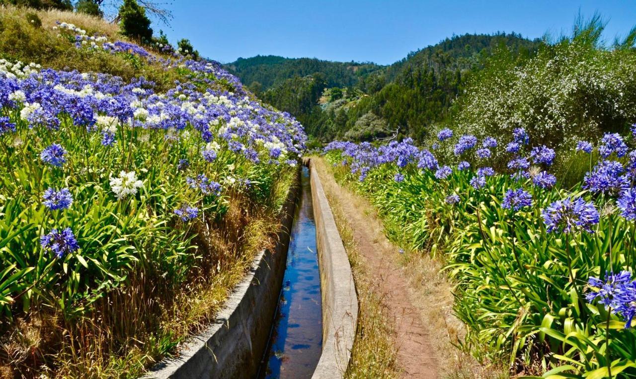 Apartmán Casa Da Relva Com Piscina Aquecida Interna Arco da Calheta  Exteriér fotografie